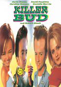 play video on VUDU