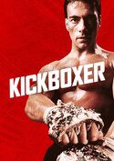 play video on VUDU