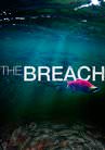 The Breach