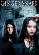 play video on VUDU