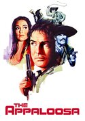 play video on VUDU
