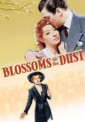 play video on VUDU