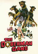 The Doberman Gang