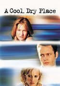 play video on VUDU