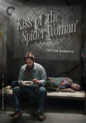 play video on VUDU