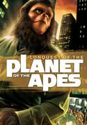 play video on VUDU