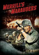 play video on VUDU