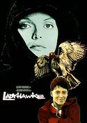 play video on VUDU