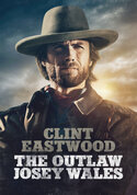 play video on VUDU