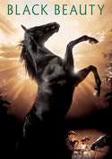 play video on VUDU