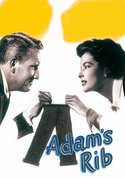 play video on VUDU