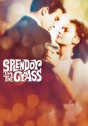 play video on VUDU