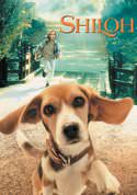 play video on VUDU