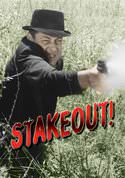 play video on VUDU