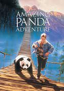 play video on VUDU