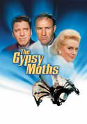 play video on VUDU