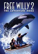 play video on VUDU