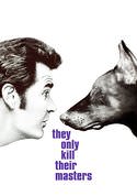 play video on VUDU