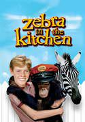 play video on VUDU