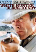 play video on VUDU