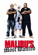 play video on VUDU