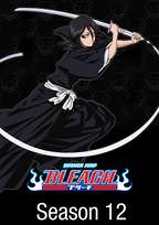 Bleach Episodes 187 - 246 English Dubbed Seasons 10 - 12 on 6 DVDs