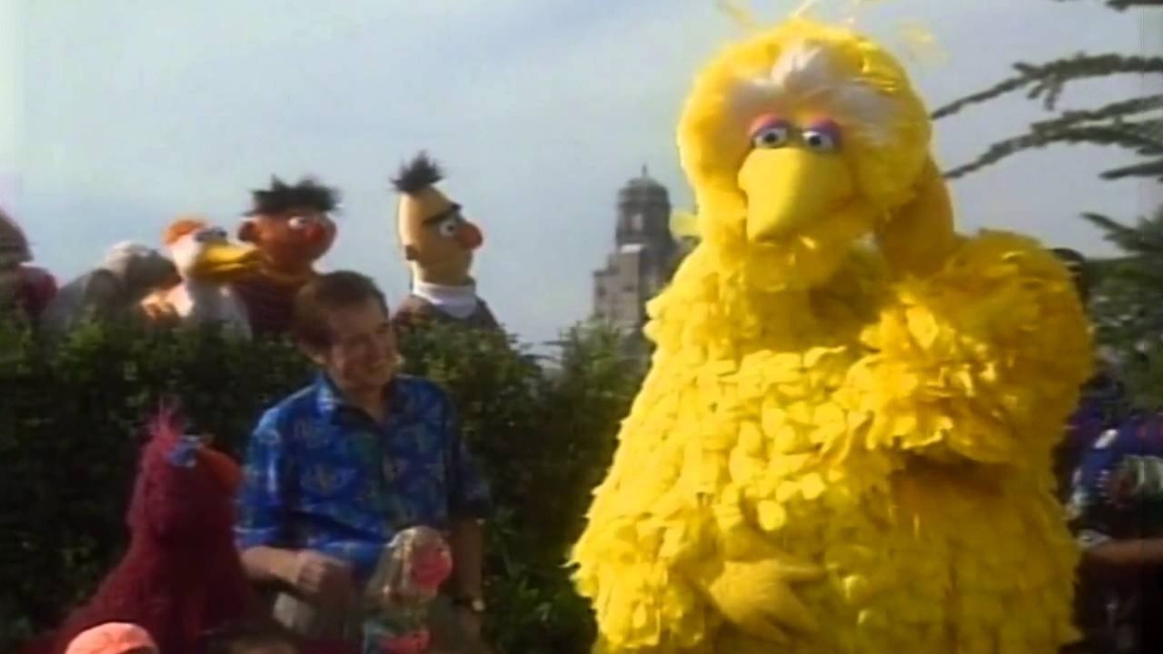 Watch Rent or Buy Sesame Street: 25th Birthday - A Musical Celebration!  Online | Fandango at Home (Vudu), image size:3840x2160