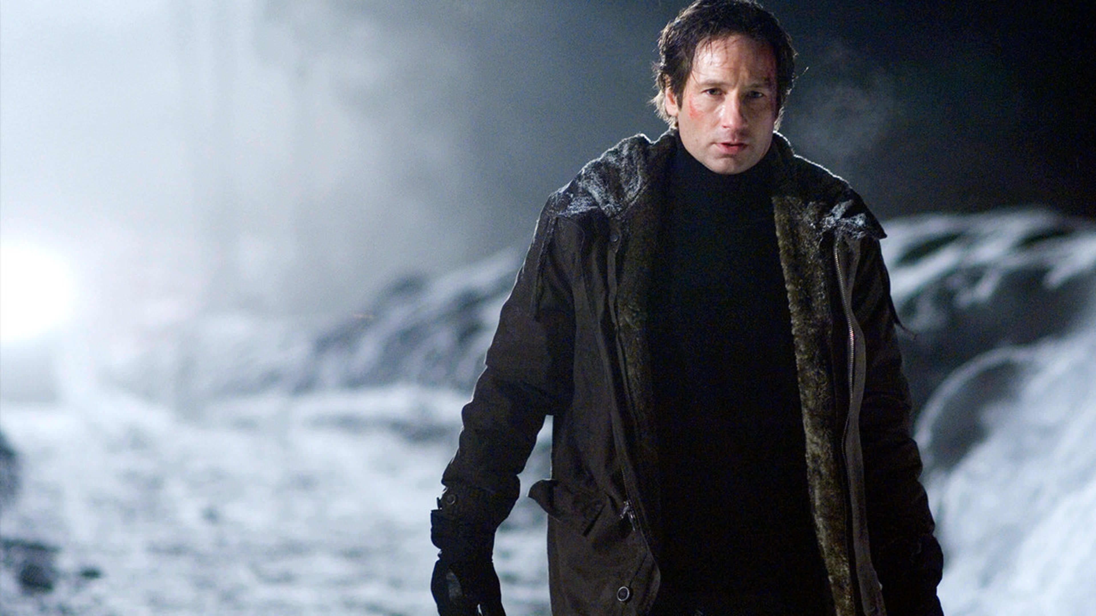 Amazon.com: The X Files : David Duchovny, Gillian Anderson