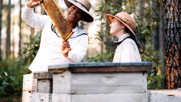 Vudu The Secret Life Of Bees Gina Prince Bythewood Dakota