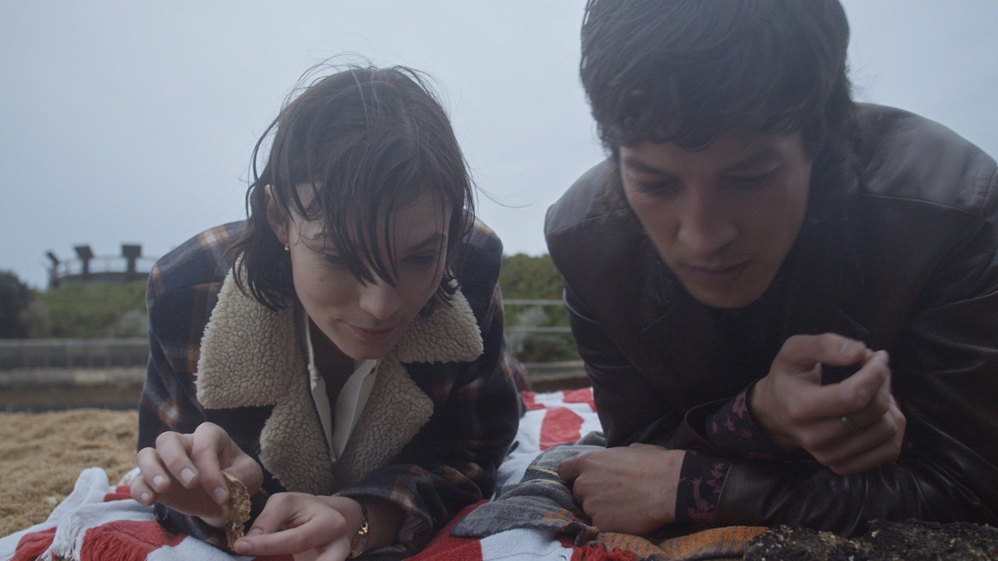 Watch Lone Wolf Free | Fandango at Home (Vudu)