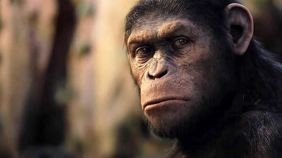 rise of the planet of the apes 2 full movie