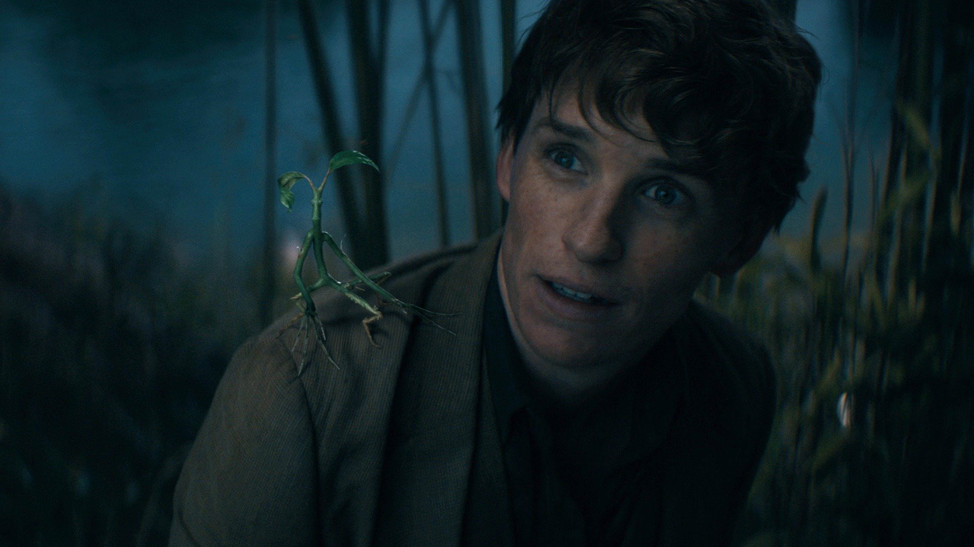 Buy & Watch Fantastic Beasts 3-Film Collection (Bundle