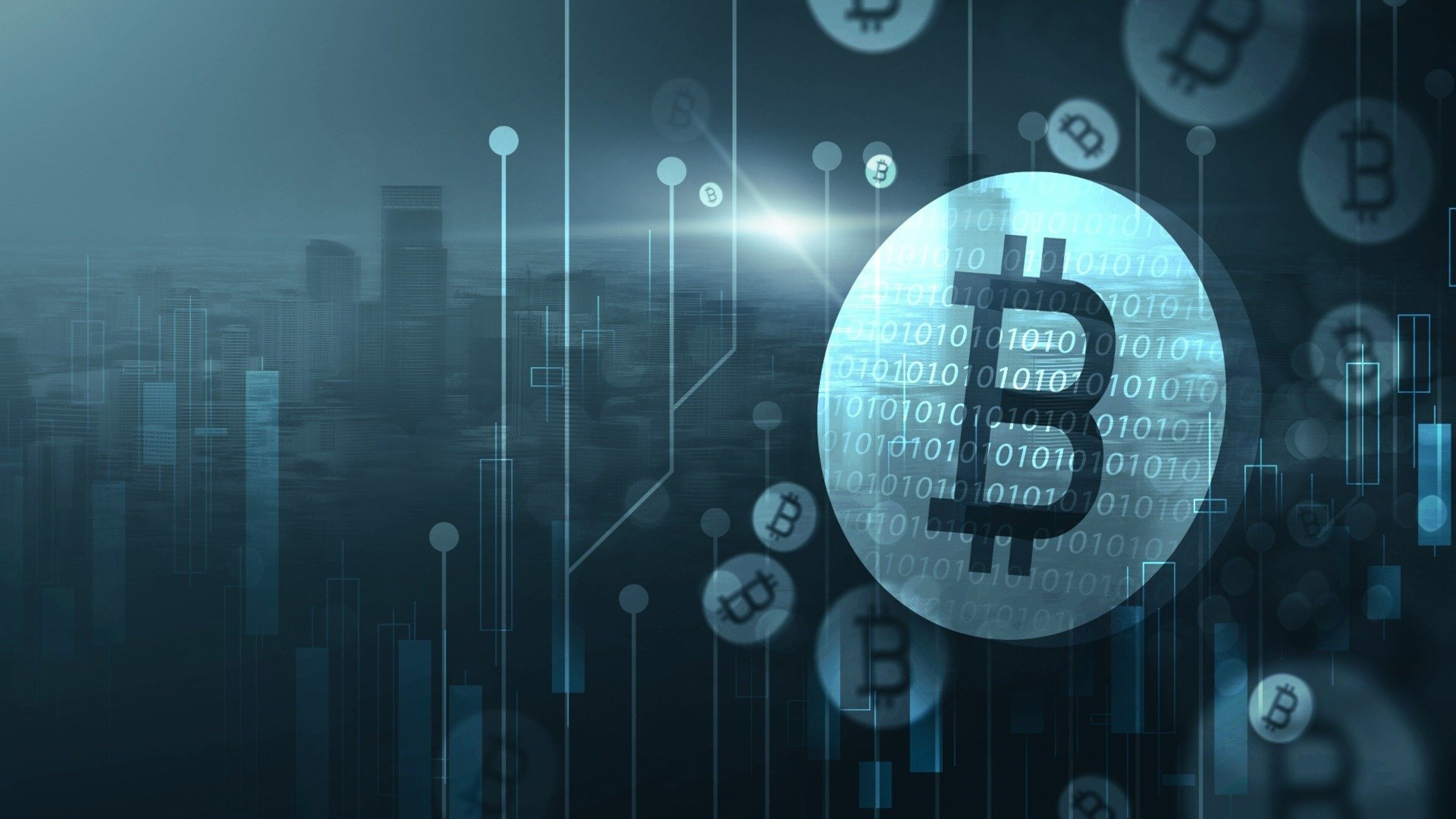 Watch The Bitcoin Field Guide: Understanding Crypto Currency Free |  Fandango at Home (Vudu)