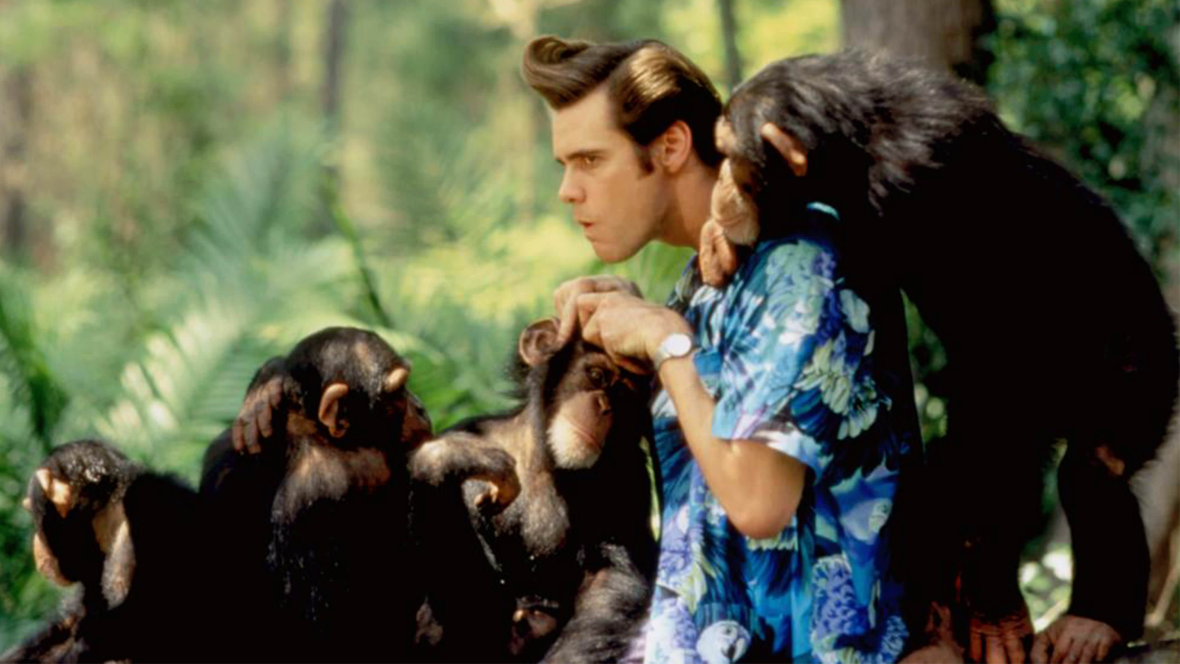 Watch Rent or Buy Ace Ventura: When Nature Calls Online | Fandango at Home  (Vudu), image size:3840x2160