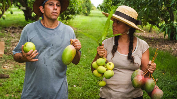 Mila Yung – Telegraph