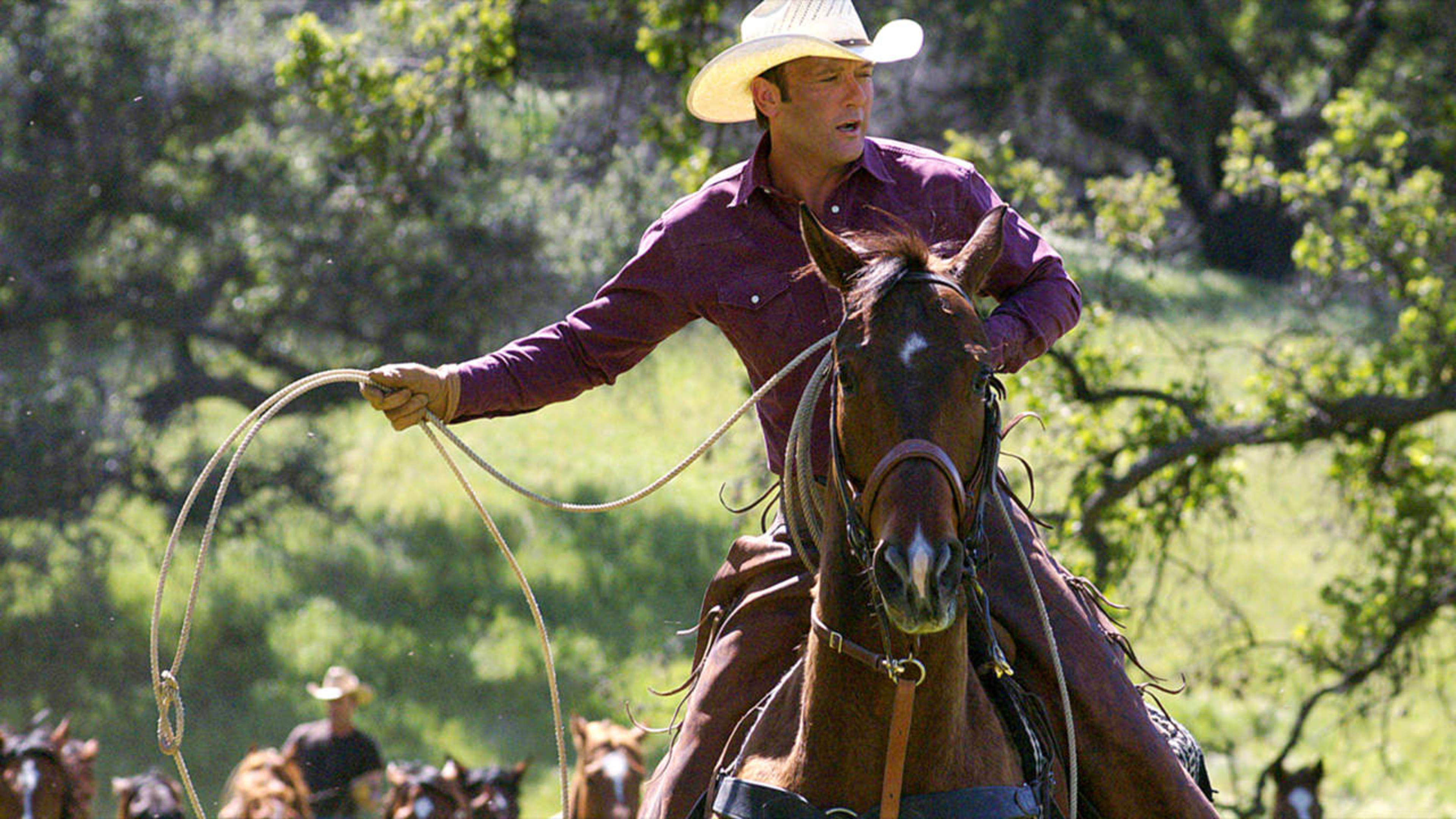 Watch Rent or Buy Flicka Online | Fandango at Home (Vudu)