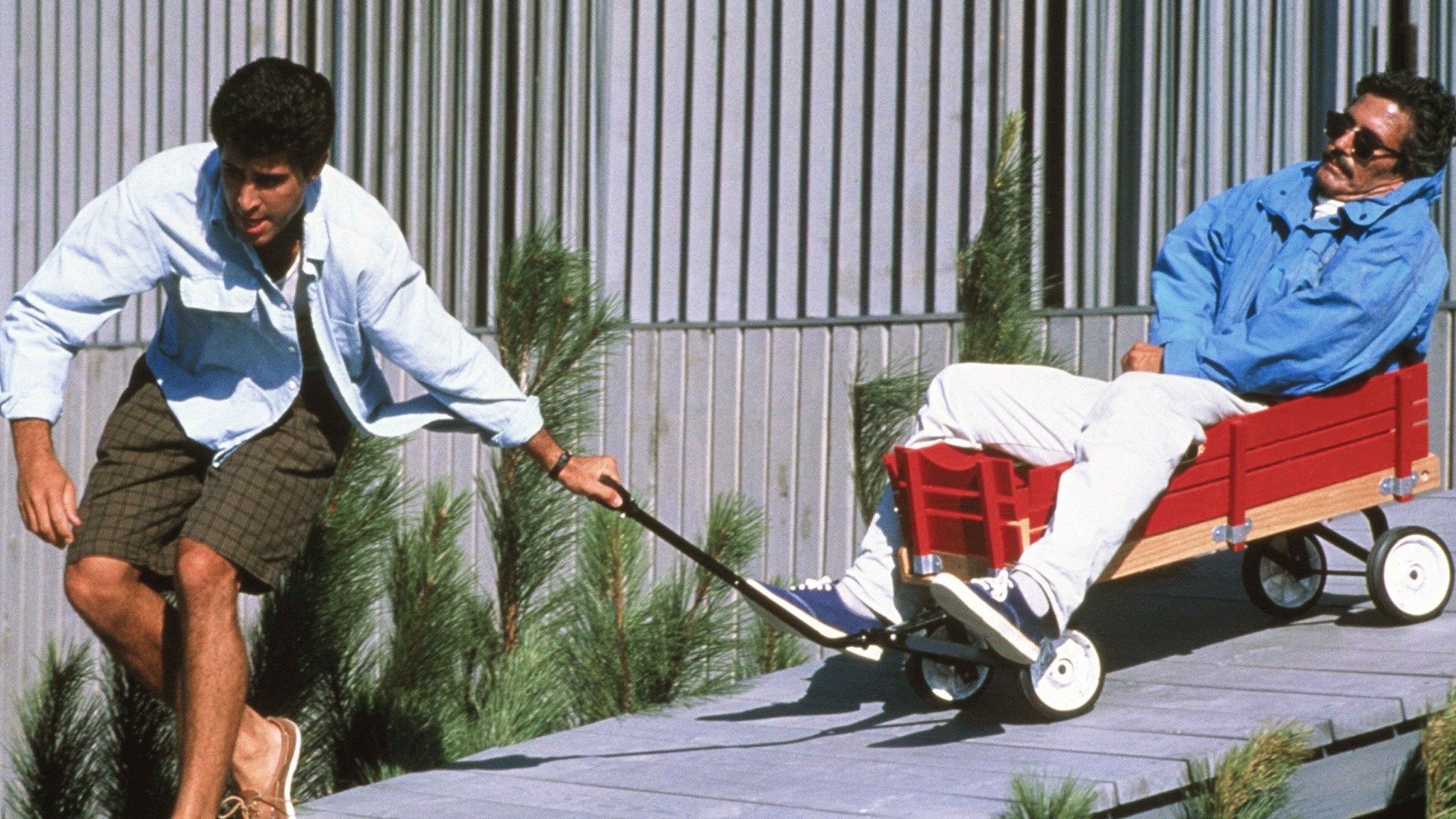 Watch Rent or Buy Weekend at Bernie's Online | Fandango at Home (Vudu), image size:3840x2160