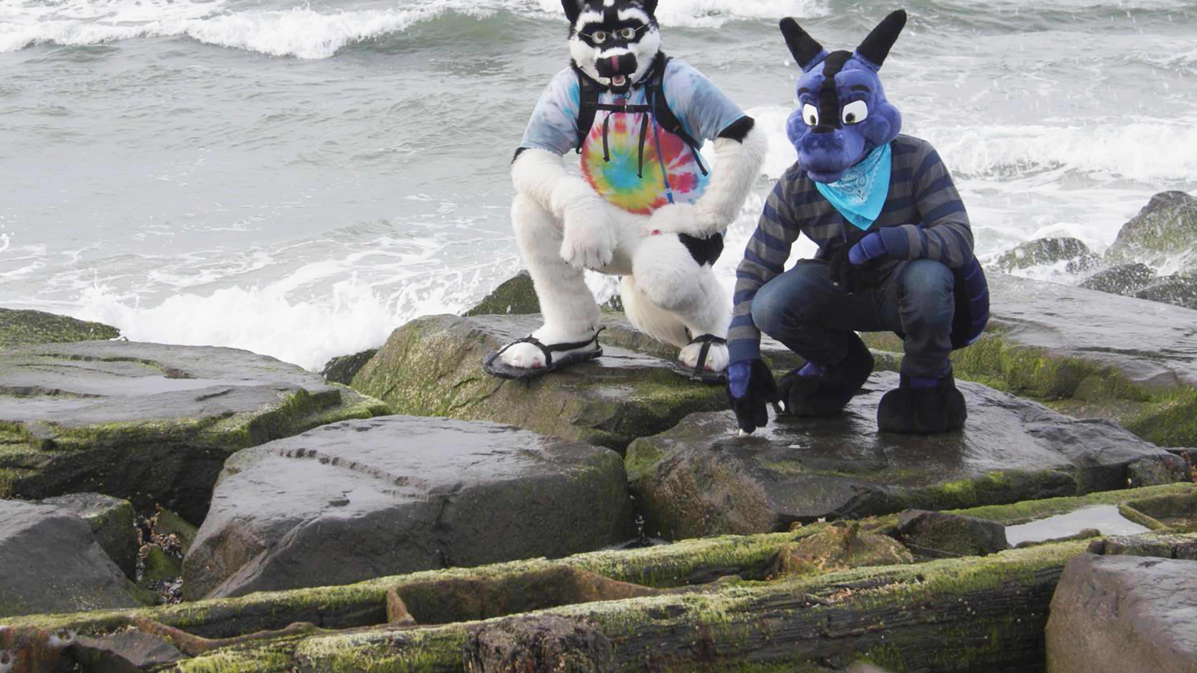 Windows Dog Icon Fursonas | Stream on Fandango (Vudu)
