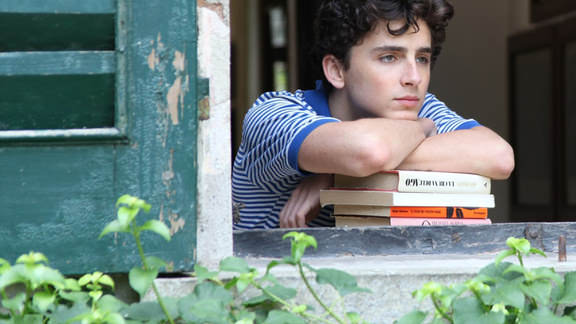 Vudu - Call Me by Your Name Luca Guadagnino, Armie Hammer, Timothée  Chalamet, Michael Stuhlbarg, Watch Movies &amp; TV Online