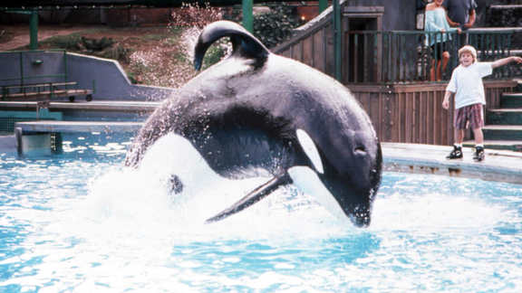 watch free willy 2 online