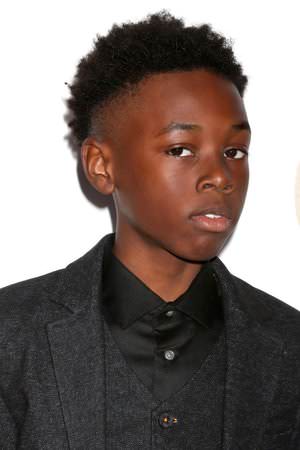 Alex R. Hibbert