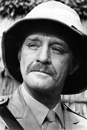 Don Knight
