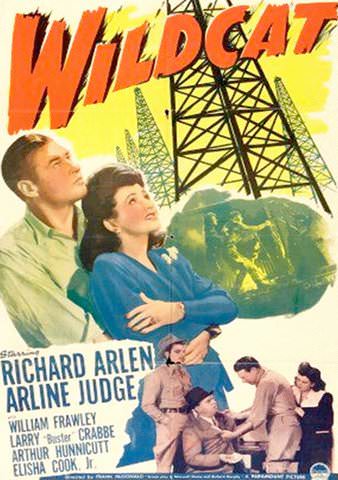 Wildcat poster