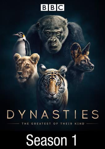 Dynasties: Season 1 poster