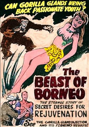Beast of Borneo poster