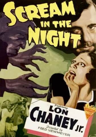 Scream in the Night poster