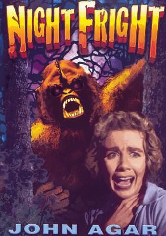Night Fright poster
