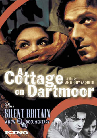 Cottage on Dartmoor poster