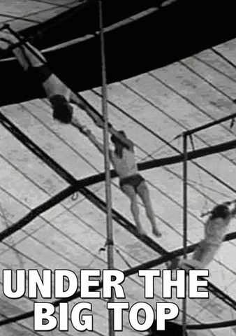 Under the Big Top poster