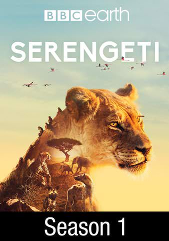 Serengeti: Season 1 poster